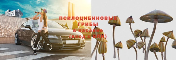 дживик Алексин