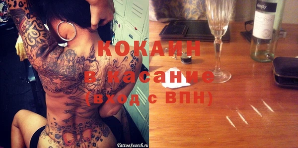хмурый Алзамай